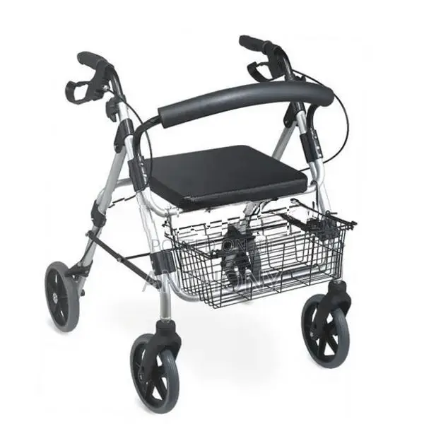 Walker Wheelchair FS965LH-1
