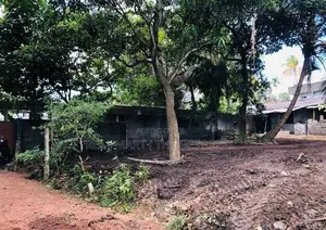 Nugegoda : 13.7 perches Land for Sale at Thalapathpitiya