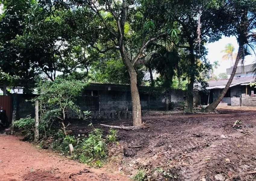 Nugegoda : 13.7 perches Land for Sale at Thalapathpitiya
