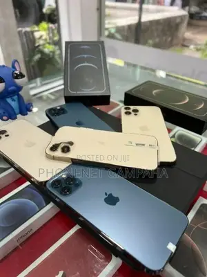 Apple iPhone 12 Pro 256GB (Used)