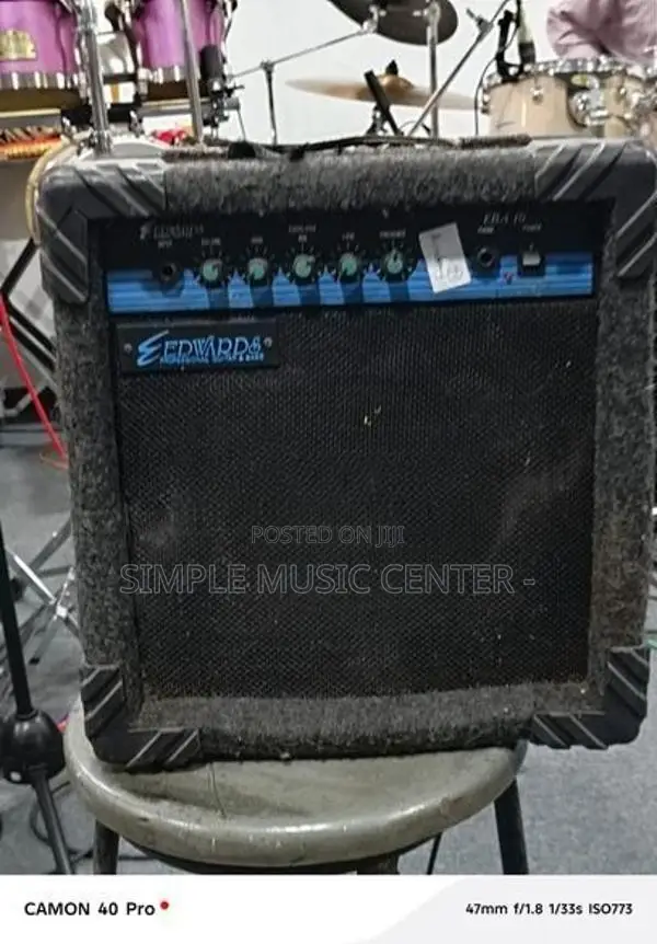 Edwards Ega 10 - Guitar Amplifier