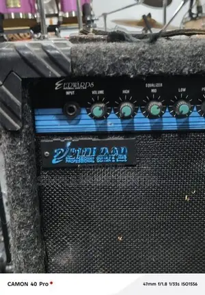 Edwards Ega 10 - Guitar Amplifier