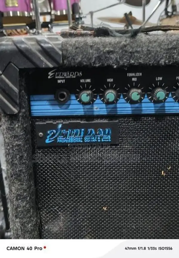 Edwards Ega 10 - Guitar Amplifier