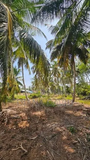 Coconut Land for Sale Dankotuwa