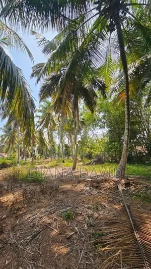 Coconut Land for Sale Dankotuwa