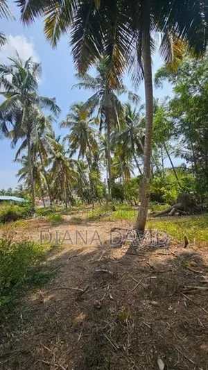 Coconut Land for Sale Dankotuwa