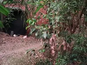 Land with Old House for Sale in Angoda