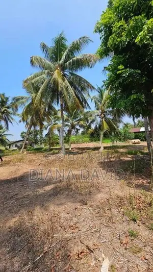 Coconut Land for Sale Dankotuwa