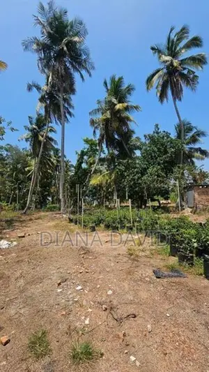 Coconut Land for Sale Dankotuwa