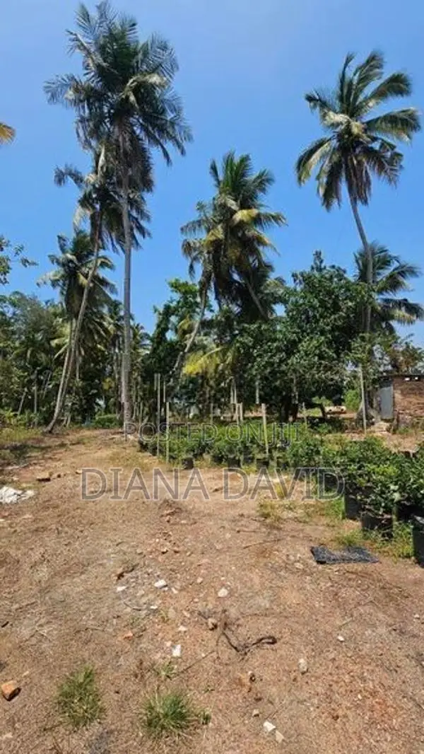 Coconut Land for Sale Dankotuwa