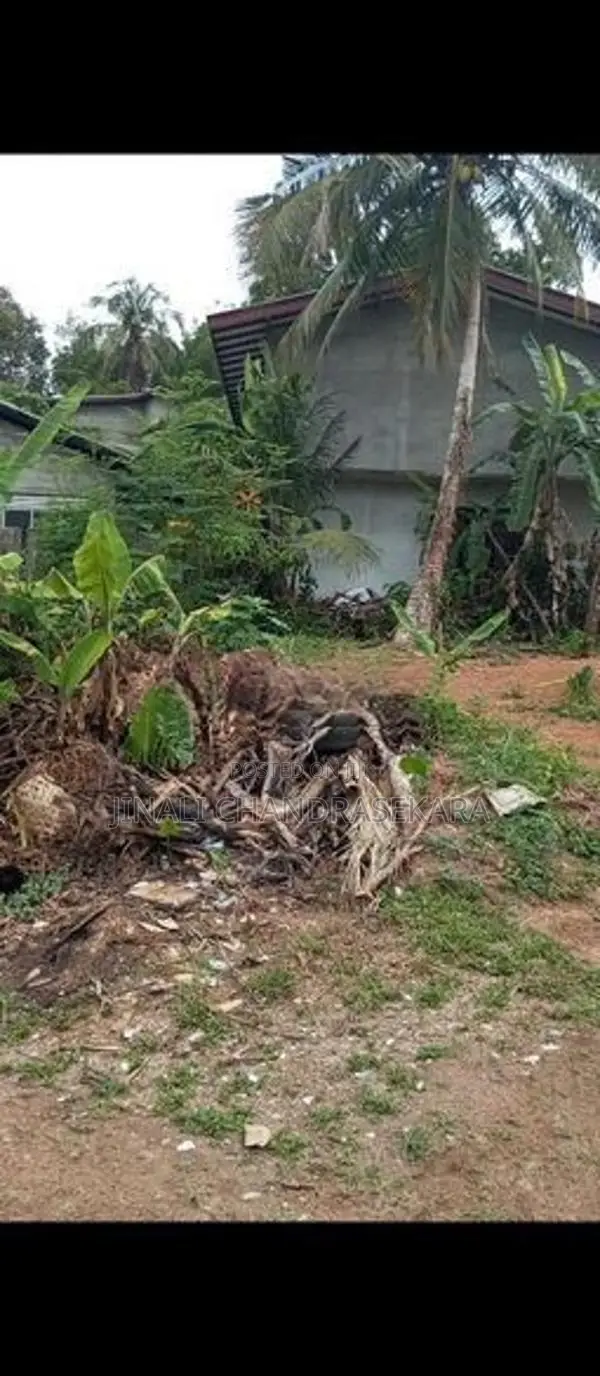 Ragama Batuwatta Land