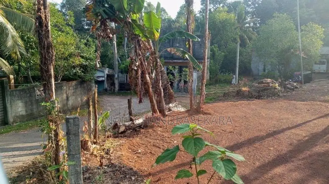 Ragama Batuwatta Land