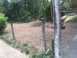Land for Sale - Ibulgoda