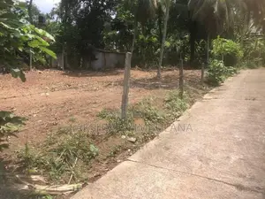 Land for Sale - Ibulgoda