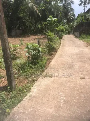 Land for Sale - Ibulgoda