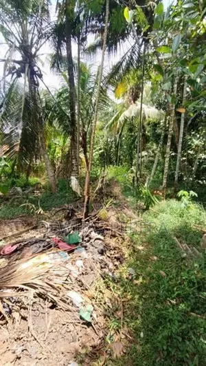 Land Sale Muragala - Waboda Kadawata
