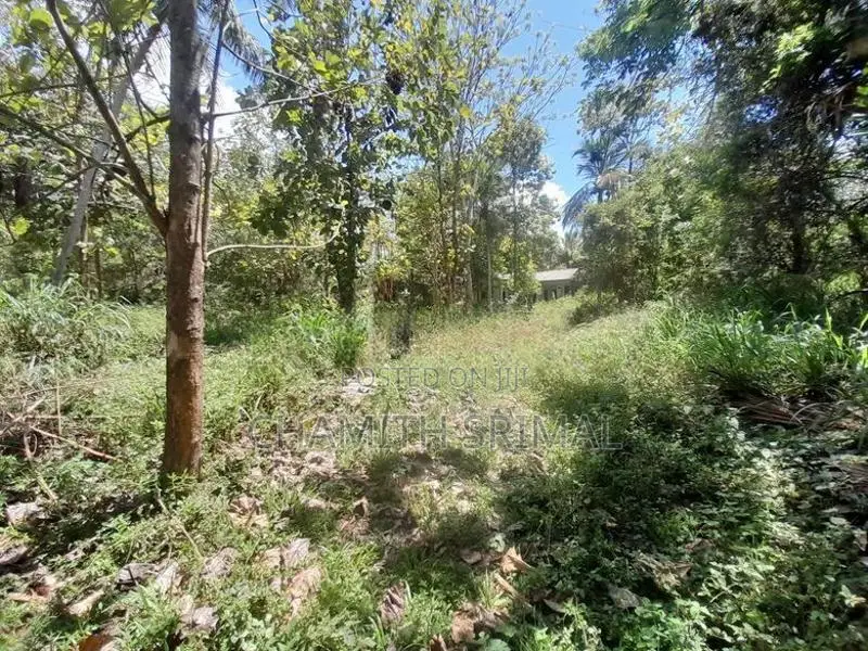 Middeniya Land for Sale