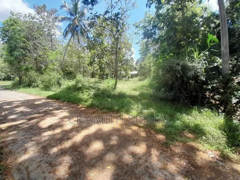 Middeniya Land for Sale
