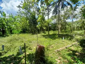 Middeniya Land for Sale