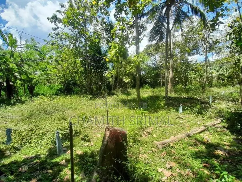 Middeniya Land for Sale