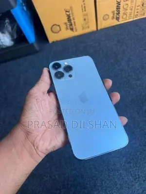 Apple iPhone 13 Pro Max 256GB (Used)