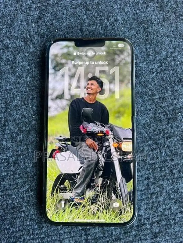 Apple iPhone 13 Pro Max 256GB (Used)