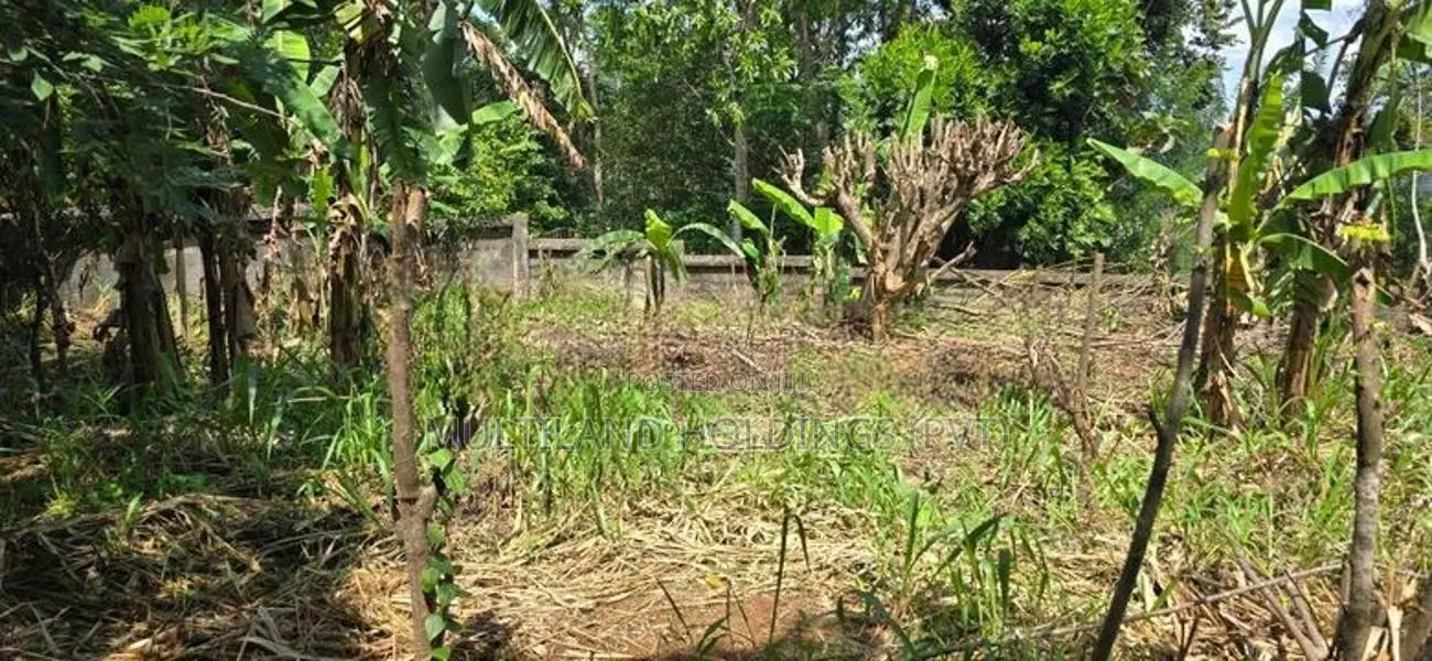Mountain View Land For Sale in Kandy