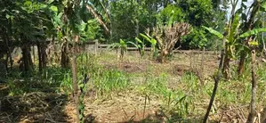 Mountain View Land For Sale in Kandy