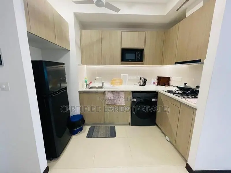 Trizen Fully Furnished Apartment for Rent - Colombo 2