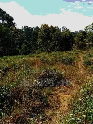 Land for Sale Bandarawela