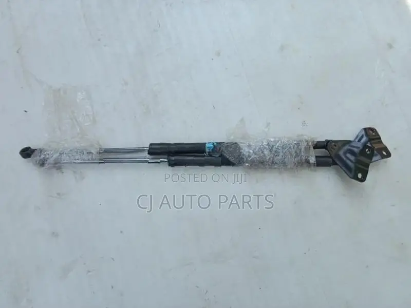 Suzuki Alto HA25 Dicky Shock Pair
