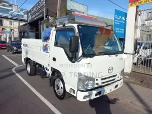 Isuzu Elf 1 MT CRANE 2017
