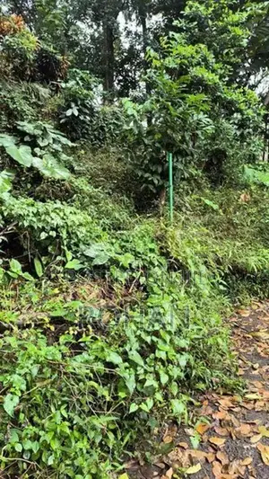 Commercial Land in Kandy CBD
