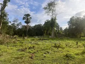 Land for Sale Galgamuwa