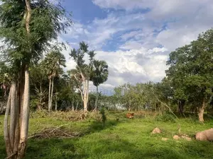 Land for Sale Galgamuwa