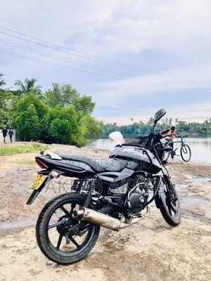 Bajaj Pulsar 180 DTS-i 2004