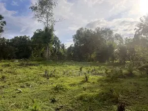 Land for Sale Galgamuwa