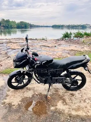 Bajaj Pulsar 180 DTS-i 2004