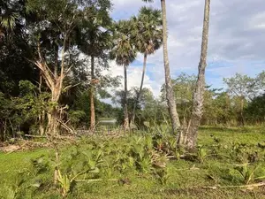 Land for Sale Galgamuwa