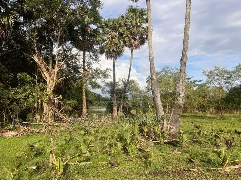 Land for Sale Galgamuwa