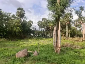 Land for Sale Galgamuwa