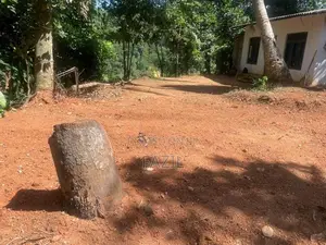 Land with Old House for Sale Teldeniya