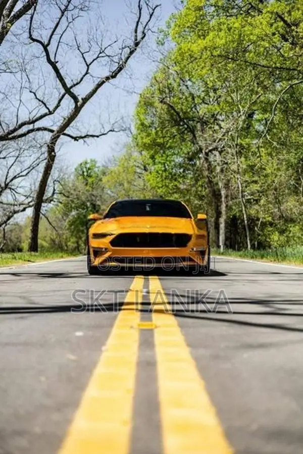 Genuine Ford Mustang 2019 bonnet headlight bumper door