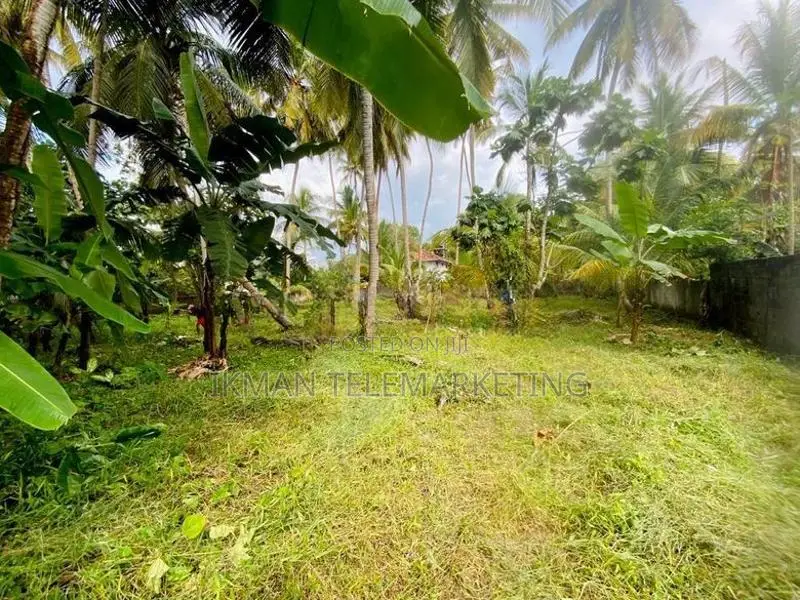 Valuable Land for Sale In Bentota Town