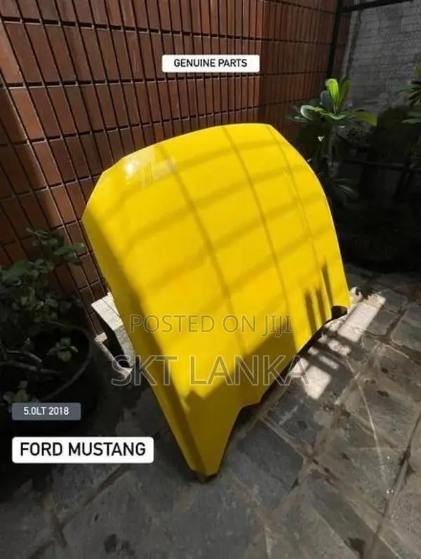 Genuine Ford Mustang 2019 bonnet headlight bumper door