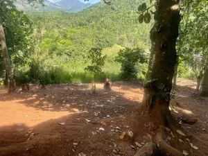 Land with Old House for Sale Teldeniya