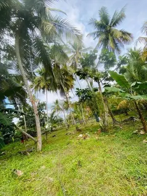 Valuable Land for Sale In Bentota Town