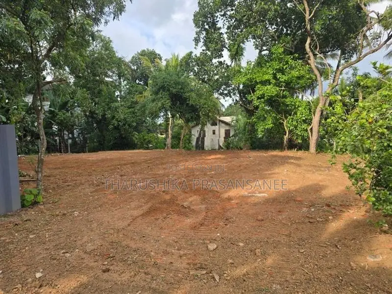 Land for Long Term Lease Himbutana