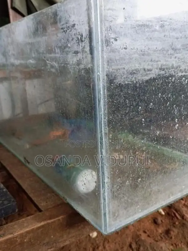 Fish Tank Set