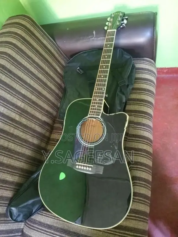 Guitar